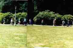 WALK14