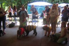 Costume-Contest-12