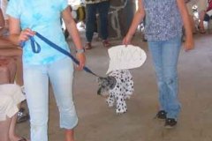 Costume-Contest-2