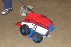 Costume-Contest-5