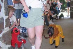 Costume-Contest-9