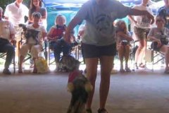 Dancer-Contest