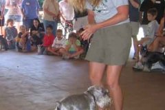 Dancing-Contest