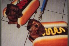 Hot-Dog-Costumes