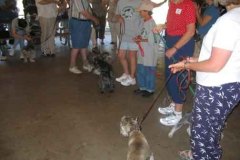 Rescue-Parade-3