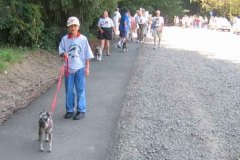 The-Walk-11