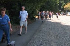 The-Walk-12