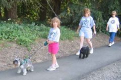 The-Walk-8