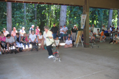 IMG_2010