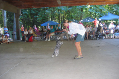 IMG_2014