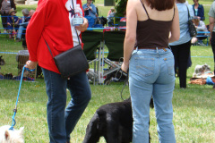 DSC01673