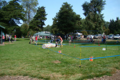 DSC07120