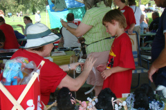 DSC07175