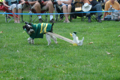 DSC07190