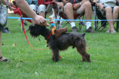 DSC07193