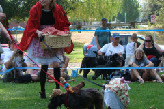 DSC07199