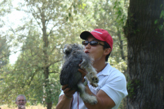 DSC07408