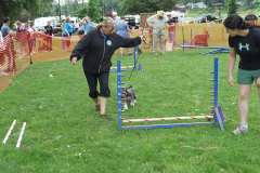 Agility-Practice